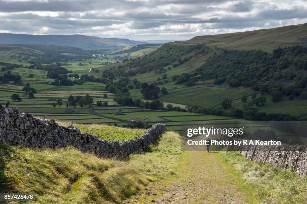 elderly man hiking in the yorkshire dales national park, england - september uk stock pictures, royalty-free photos & images