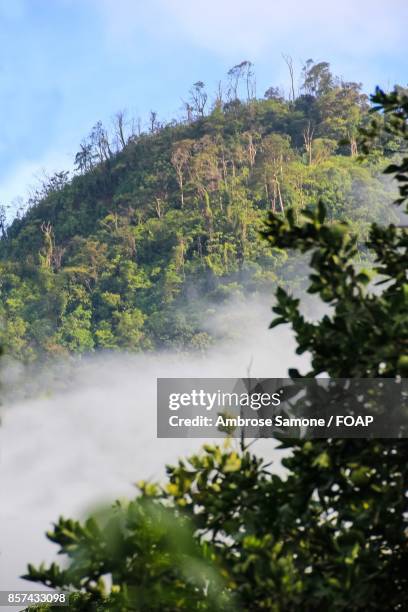 foggy weather in mountain - foap stock pictures, royalty-free photos & images