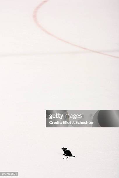 Rat is thrown on the ice after the game while the Florida Panthers celebrate their win against the Ottawa Senators at the Bank Atlantic Center on...