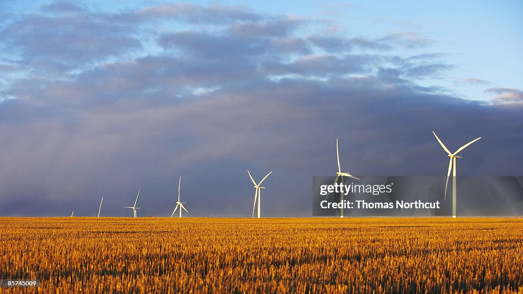 Wind Turbine