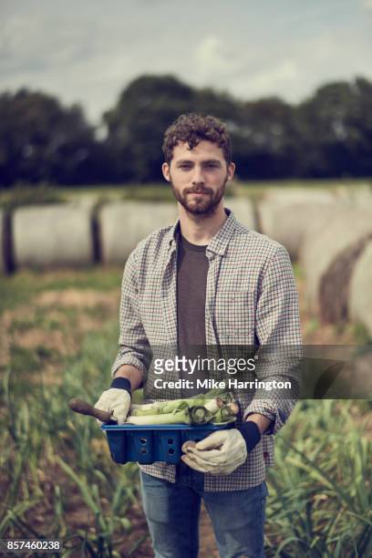 portrait of mature male holding hand picked organic produce - 1910 stock pictures, royalty-free photos & images