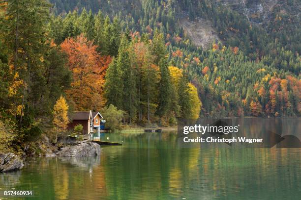 bavaria alps - eibsee - munich autumn stock pictures, royalty-free photos & images