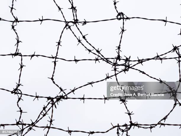 low angle view of barbed wire against sky - wire mesh fence stock-fotos und bilder