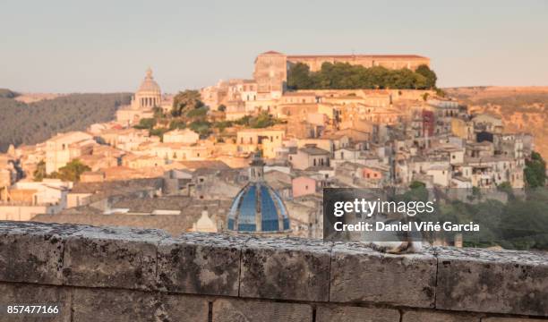 viewpoint of ragusa, sicily with a cat. - ragusa sicily stock pictures, royalty-free photos & images