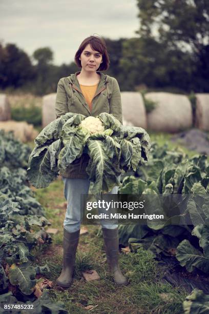 portrait of young female community farmer holding cauliflower - 1910 stock pictures, royalty-free photos & images