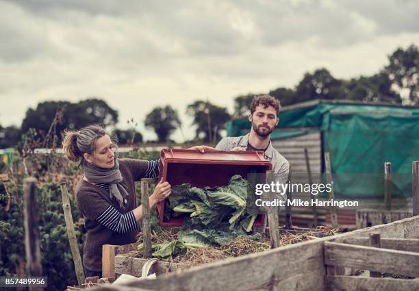 two individuals working on their community allotment together - compost stockfoto's en -beelden