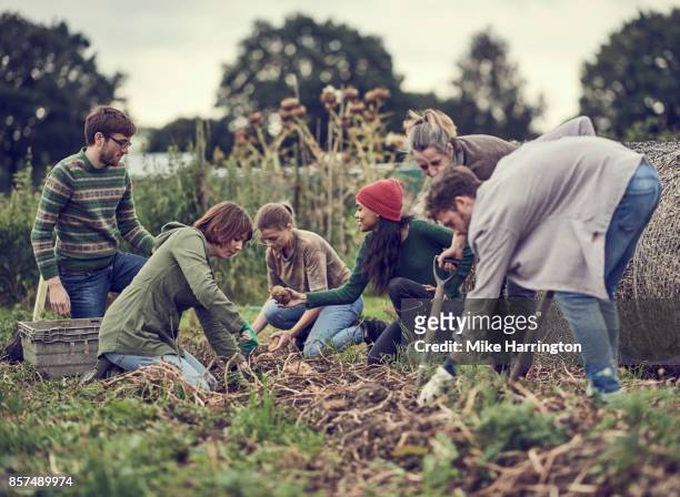 group of community farmers working on their allotment - jardín de la comunidad fotografías e imágenes de stock