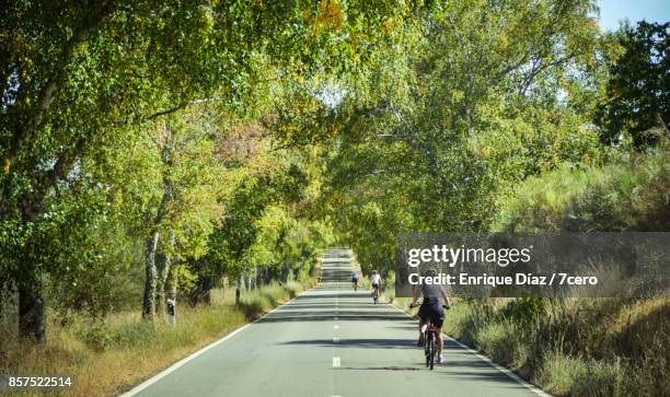 a group of cyclists riding in north east portugal - shade stock pictures, royalty-free photos & images