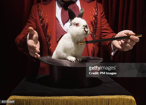 magician with rabbit in a hat. - magician stock pictures, royalty-free photos & images