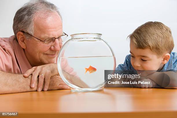 grandfather and grandson watching goldfishes - goldfish bowl stock pictures, royalty-free photos & images