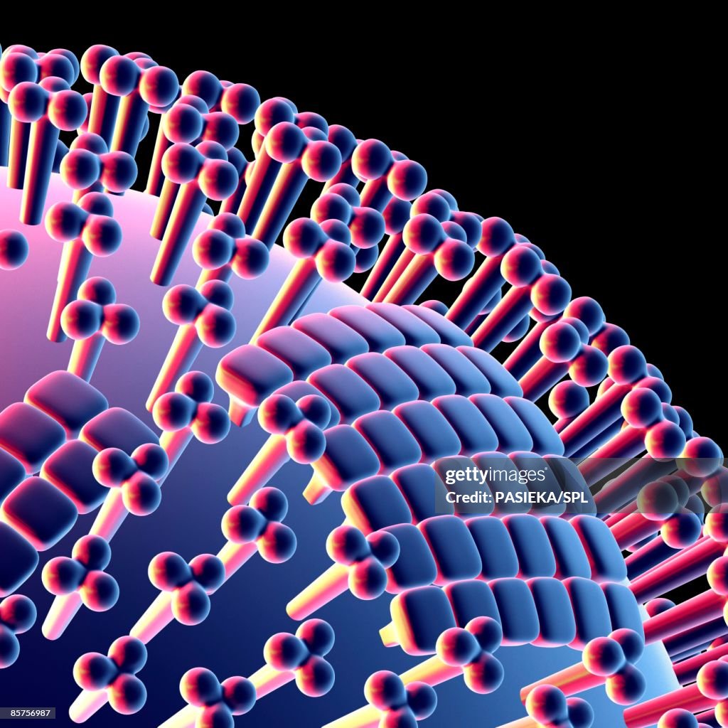 Computer artwork of avian influenza (flu) virus