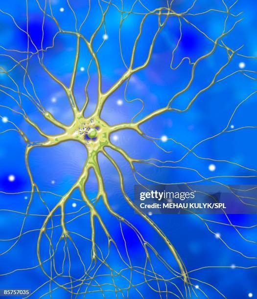 nerve cell, computer artwork - relay stock illustrations