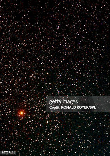 Red Color Star Red Star Space Photos and Premium High Res Pictures - Getty Images