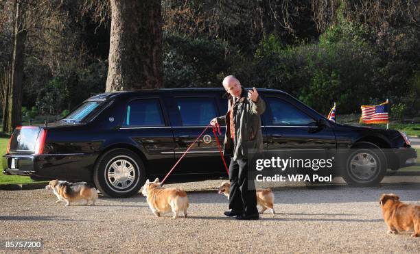 Queen Elizabeth II's Corgis are taken for a walk as they pass US President Barack Obama's car in the grounds of Buckingham Palace while he has an...