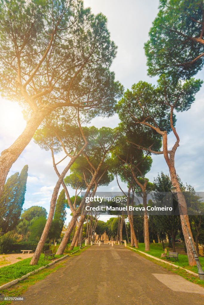 Park In Rome High-Res Stock Photo - Getty Images