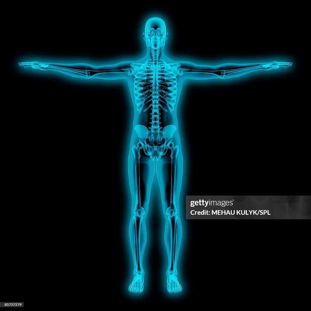 Human body, computer artwork
