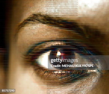 Biometrics, conceptual computer artwork Biometrics, conceptual computer artwork