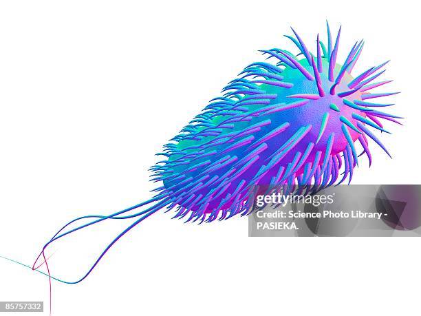 e. coli bacterium. computer artwork - e coli stock illustrations