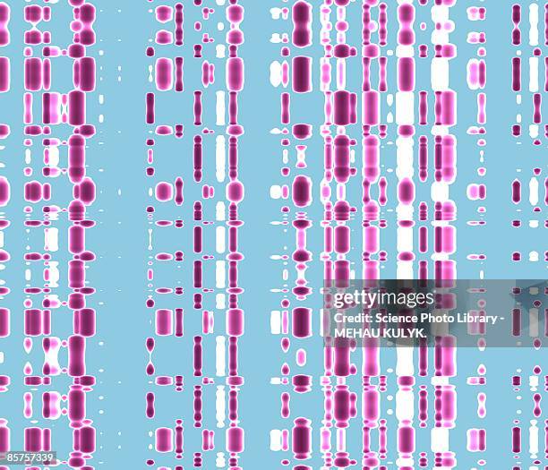 dna radiograph shows nucleotide sequence - nucleotide stock illustrations