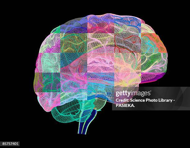 Brain Profile Photos and Premium High Res Pictures - Getty Images