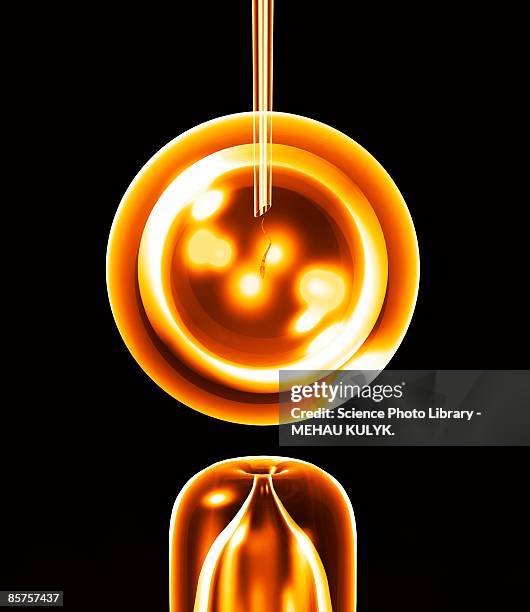 in vitro fertilization (ivf) - in vitro fertilization stock illustrations