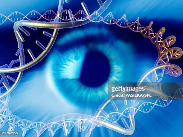 illustrazioni stock, clip art, cartoni animati e icone di tendenza di human eye surrounded by molecules of dna - genetic research