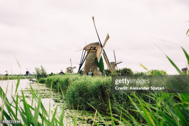 traditional dutch windmill near the river, kinderdijk, south holland, netherlands - kinderdijk stock pictures, royalty-free photos & images