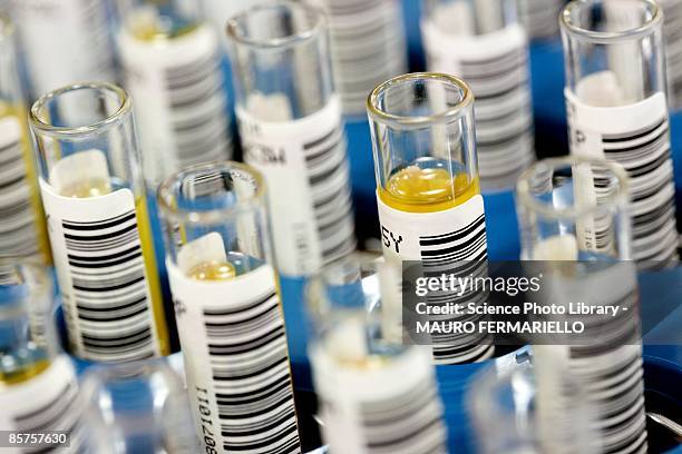 Test Tube With Barcode Photos and Premium High Res Pictures - Getty Images