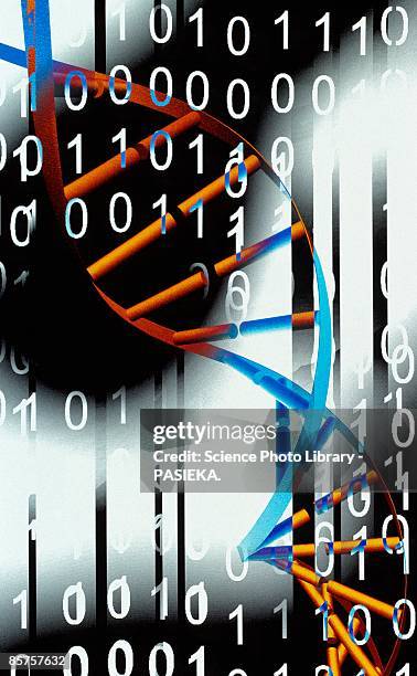 Dna And Computer Code 159 Dna Binary Code Stock Photos, High-Res Pictures, and Images - Getty ...