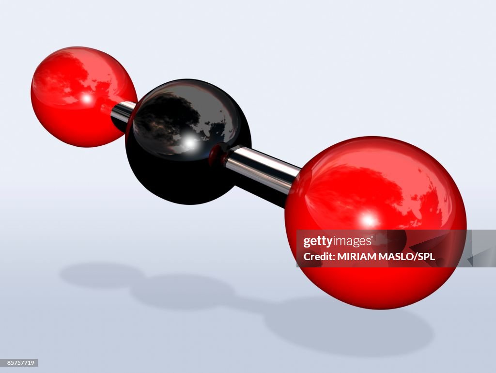Cardioxide Molecular Structure Of Carbon Dioxide Carbon Dioxide Molecular Model