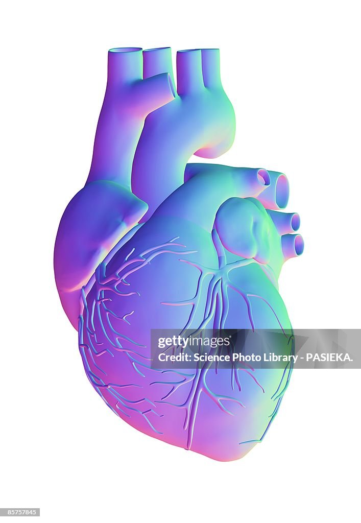 Heart, computer artwork