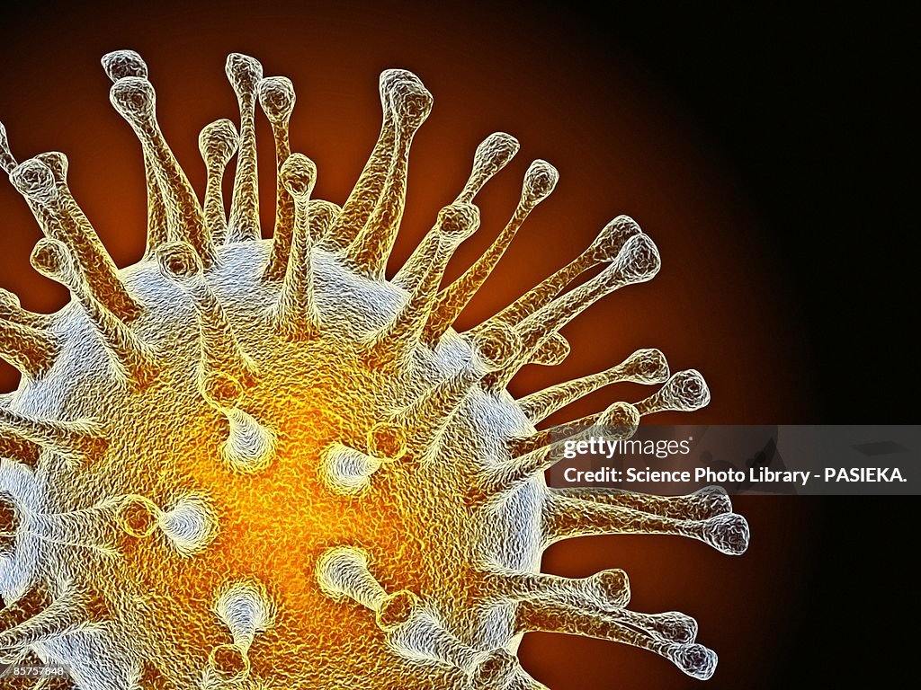 Computer artwork of avian influenza (flu) virus