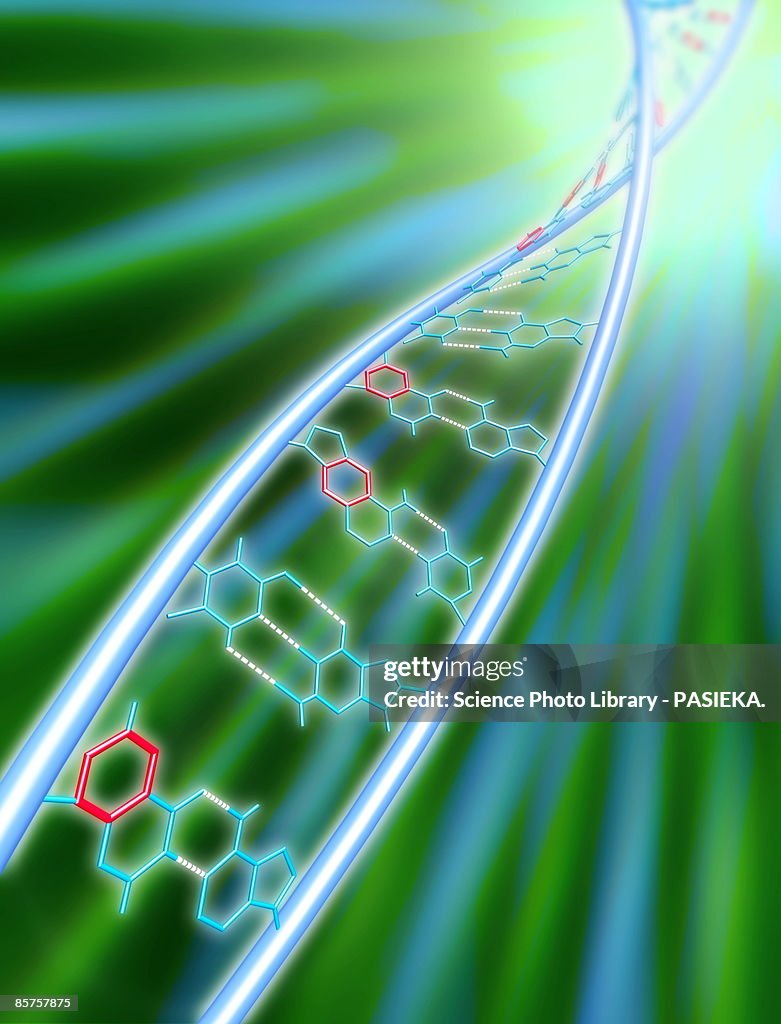 Computer artwork of molecule of expanded deoxyribonucleic acid (xdna)