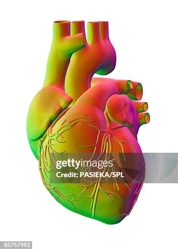 Heart Computer Artwork High-Res Vector Graphic - Getty Images