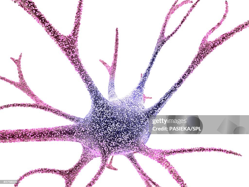 Nerve Cell Against White Background High-Res Vector Graphic - Getty Images