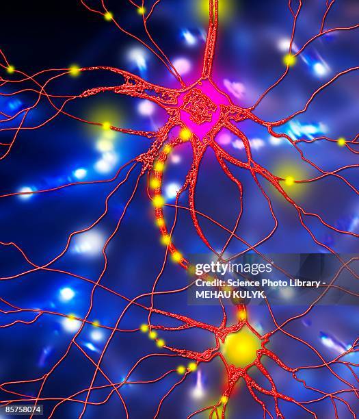 nerve cell, computer artwork - relay stock illustrations