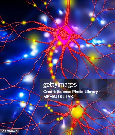 Nerve cell, computer artwork Nerve cell, computer artwork