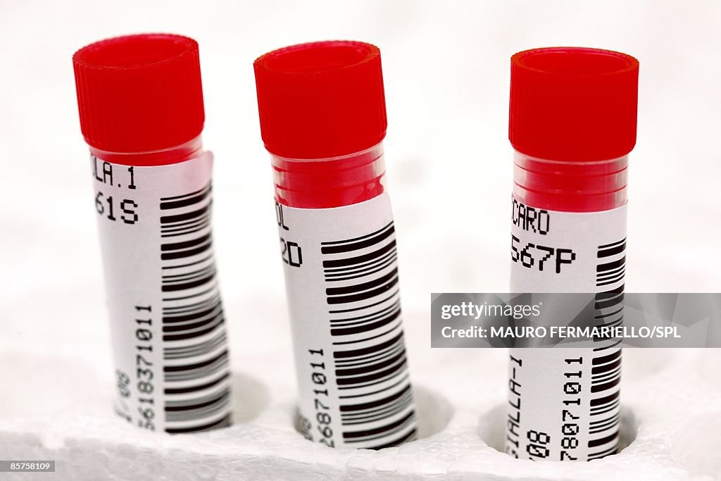 Medical Sample Container Labelling Medical Sample Tubes Labeled With Barcodes High-Res Stock Photo - Getty ...