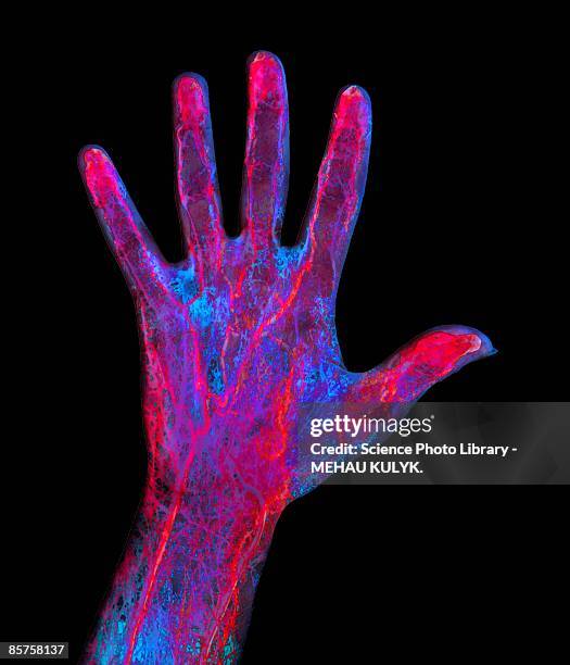 hand blood supply - body part black background stock illustrations