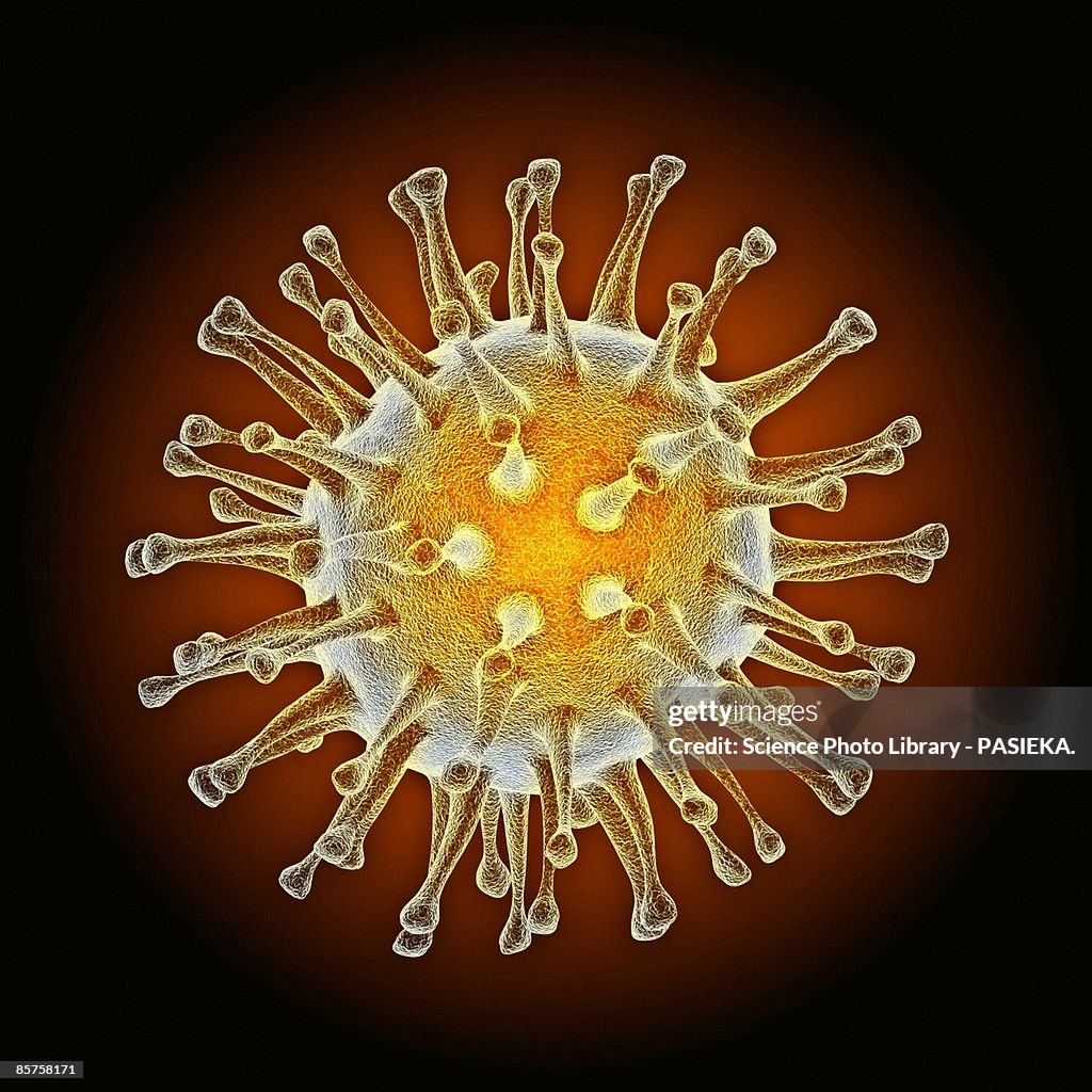 Computer artwork of avian influenza (flu) virus