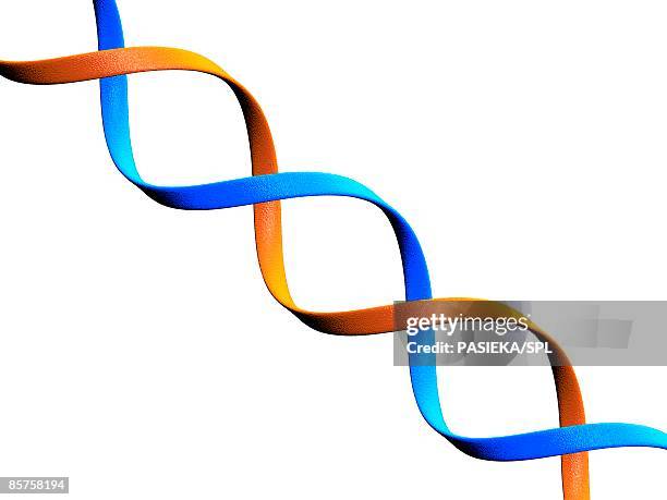 ilustraciones, imágenes clip art, dibujos animados e iconos de stock de dna molecule, conceptual computer artwork - nucleótido