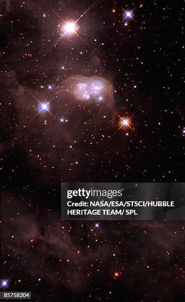 star cluster - hubble space telescope stock pictures, royalty-free photos & images