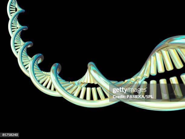 Devx Dna Dna Helix Black Background Photos and Premium High Res Pictures - Getty ...