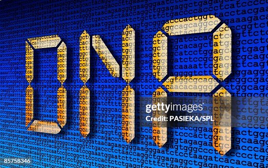 Dna Lettering High-Res Vector Graphic - Getty Images