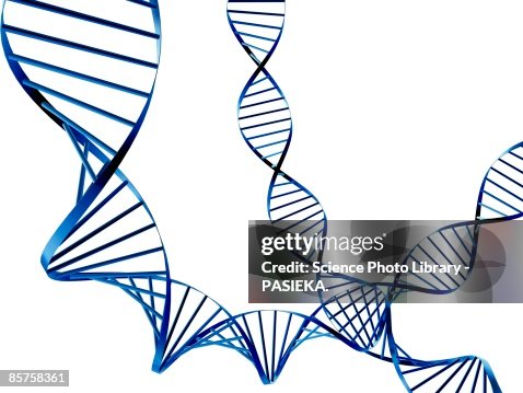 DNA molecules against white background DNA molecules against white background