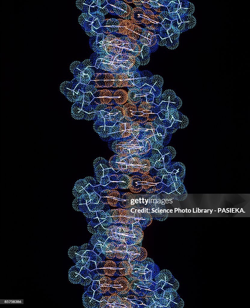 DNA molecule Computer artwork