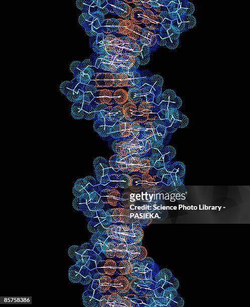 dna molecule computer artwork - genetic research stock pictures, royalty-free photos & images