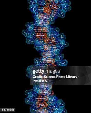 DNA molecule Computer artwork DNA molecule Computer artwork
