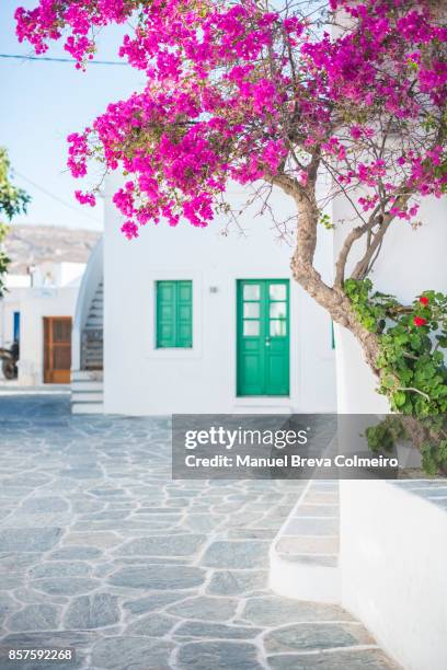 chora - folegandros - bougainvillea stock pictures, royalty-free photos & images
