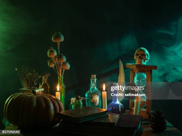 pumpkin, poison bottle, dead insects, candles, human skull and magic book for halloween - witch imagens e fotografias de stock